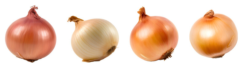 onion isolated on a transparent PNG background, white background, Generative Ai