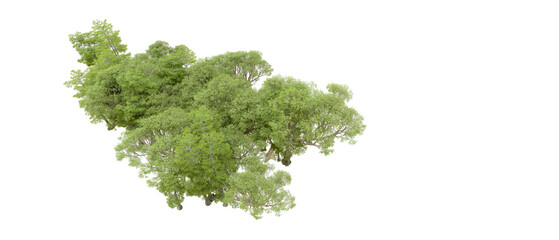 Green forest isolated on background. 3d rendering - illustration