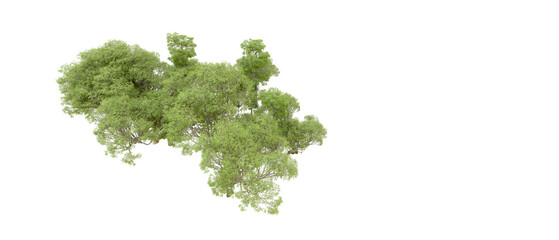 Fototapeta premium Green forest isolated on background. 3d rendering - illustration