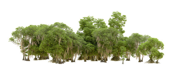 Green forest isolated on background. 3d rendering - illustration