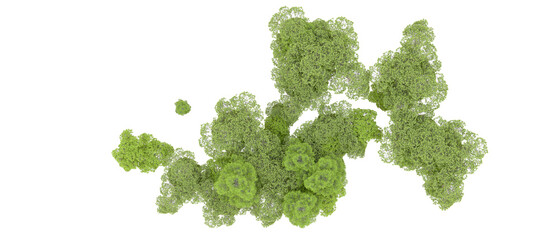 Green forest isolated on background. 3d rendering - illustration