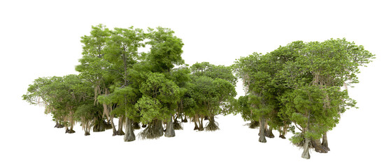 Green forest isolated on background. 3d rendering - illustration