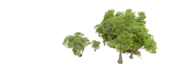Obraz premium Green forest isolated on background. 3d rendering - illustration