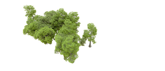 Obraz premium Green forest isolated on background. 3d rendering - illustration