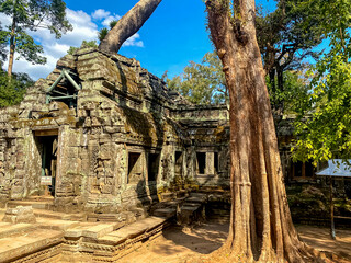 Naklejka premium Ta Prohm, a mysterious temple of the Khmer civilization, located on the territory of Angkor in Cambodia