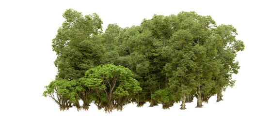 Obraz premium Green forest isolated on background. 3d rendering - illustration