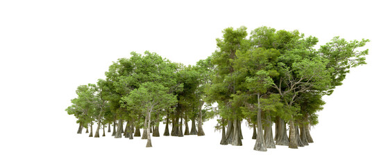 Green forest isolated on background. 3d rendering - illustration