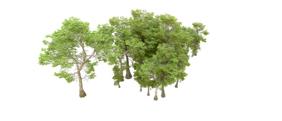 Obraz premium Green forest isolated on background. 3d rendering - illustration