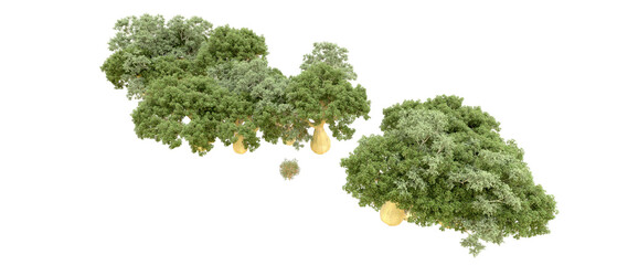 Obraz premium Green forest isolated on background. 3d rendering - illustration