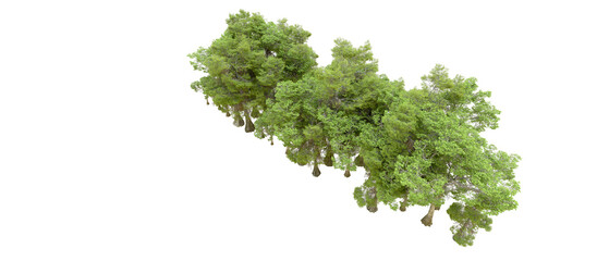 Green forest isolated on background. 3d rendering - illustration