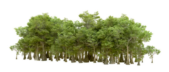 Gordijnen Green forest isolated on background. 3d rendering - illustration © Cristian