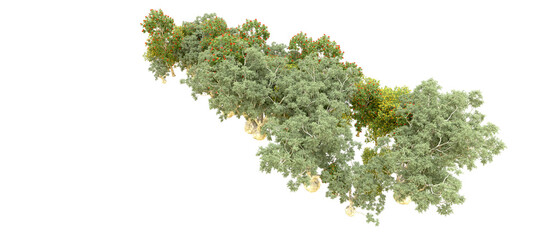 Obraz premium Green forest isolated on background. 3d rendering - illustration