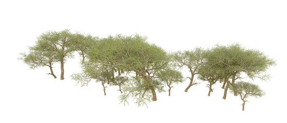 Green forest isolated on background. 3d rendering - illustration