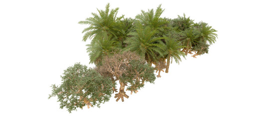 Green forest isolated on background. 3d rendering - illustration