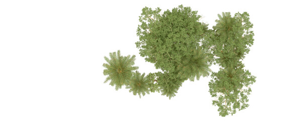 Fototapeta premium Green forest isolated on background. 3d rendering - illustration