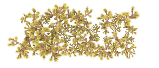 Green forest isolated on background. 3d rendering - illustration