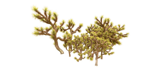 Green forest isolated on background. 3d rendering - illustration