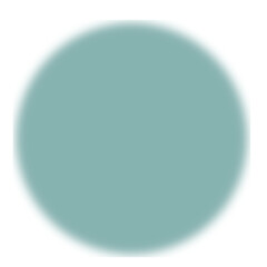 Nice blurred circle. Luxury beauty blur backdrop for advertising, presentation copy space product, cosmetics. Posters, banners for light any projects. Harmonious gentle color swatch. 素敵なぼやけた円