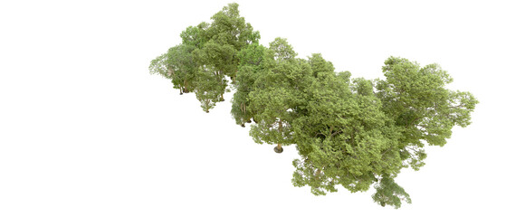 Obraz premium Green forest isolated on background. 3d rendering - illustration
