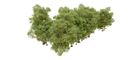 Fototapeta premium Green forest isolated on background. 3d rendering - illustration