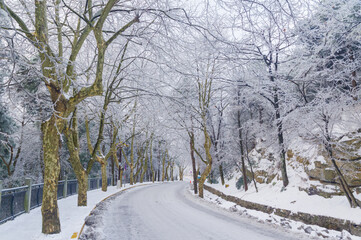 Obraz premium Winter snow scene in Lushan/Mountain Lu National Park Scenic Area, Jiujiang, Jiangxi, China