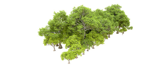 Obraz premium Green forest isolated on background. 3d rendering - illustration