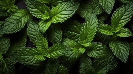 Generated AI. A close-up shot of pepper mint leaf surface, texture background.