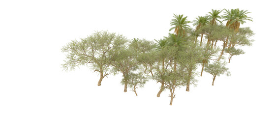 Green forest isolated on background. 3d rendering - illustration