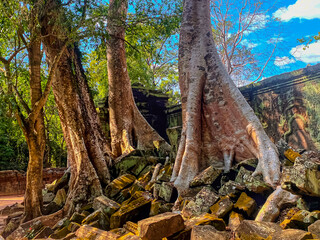 Ta Prohm, a mysterious temple of the Khmer civilization, located on the territory of Angkor in...