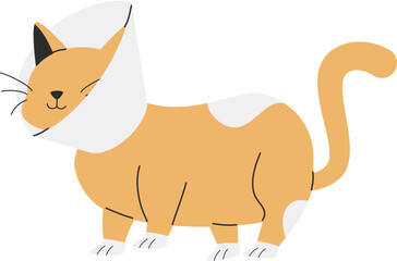 Cute cat Illustration 