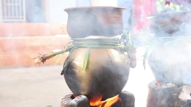 celebrating Traditional Thai Pongal festival to sun god with pot, lamp,wood fire stove, fruits and sugarcane. Making Sakkarai or sugar pongal and ven pongal in sand stove in traditional method.