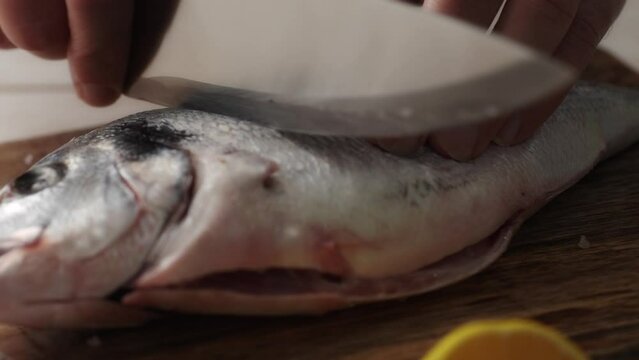 Chef's Precise Incision on Fresh Fish. Close-up, shallow dof.
