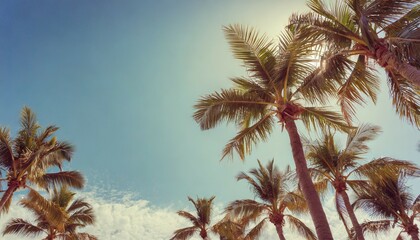Fototapeta na wymiar blue sky and palm trees view from below vintage style tropical beach and summer background