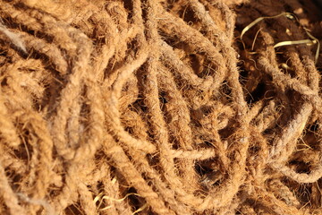 Bunch of scrambled Brown coconut rope under bright sunlight, closeup