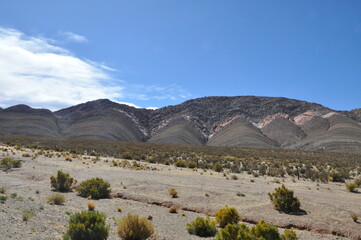 estrada, deserto, autovia, asfalto, paisagem, viagem, céu, montagna, natureza, vale, viagem, montagna, us, morte, conduzir, cênico, absolver, horizonte, reta, viagem, vale da morte, carro, direto, ver