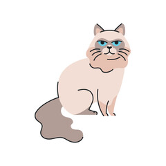 The cat ragdoll is standing color element. Cartoon cute animal.