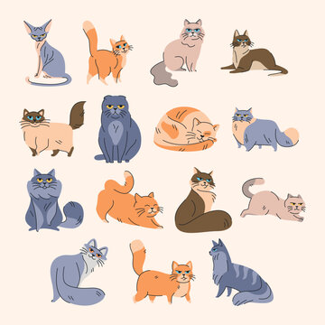 Cute cats in different poses color element. Cartoon cute animals.