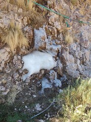 cascada congelada, paisagem, natureza, deserto, montagna, rocha, molhar, céu, estrada, desfiladeiro, viagem, fluvial, mar, montagna, praia, rocha, areia, assinar, costa, falésia, buraco, lago, ao ar l