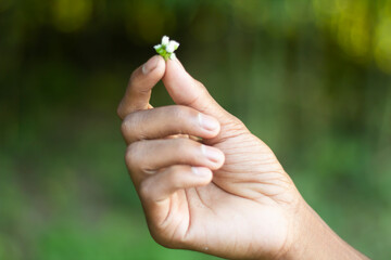 A man is holding a small flower with his hand and blurred background
