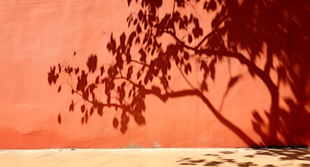 Sombra de un árbol en la calle sobre una pared naranja.