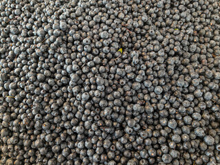 Close-up of black blueberries at the farmers' market.
