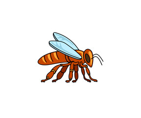 Bee, insect, animal, apiary and beekeeping, graphic design. Honey bee, bee-garden and apiculture, vector design and illustration