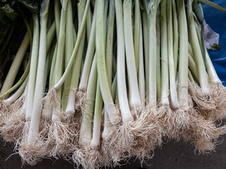Leeks on the stall at the farmers' market.