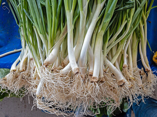 Green onions on the stall at the farmers' market.