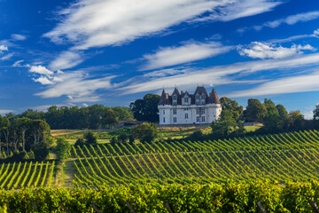 Chateau Monbazillac ( Monbazillac castle) with vineyards, Aquitaine, France