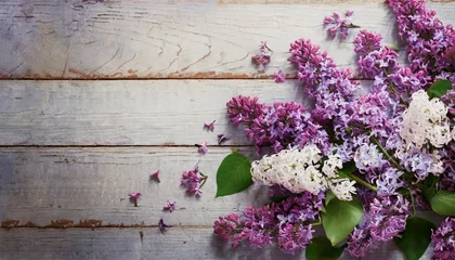 Sierkussen lilac flowers background © Tomas