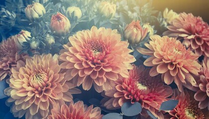 Fototapeta na wymiar beautiful floral background for greeting or postcard toning