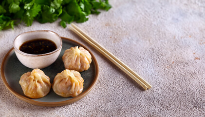 Fototapeta na wymiar oriental dim sum dumplings with soy sauce