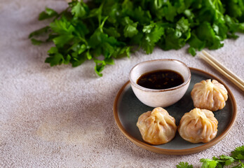 oriental dim sum dumplings with soy sauce