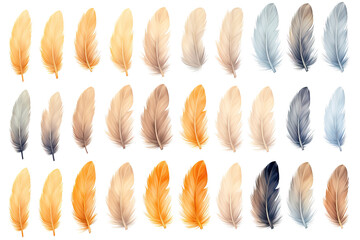 abstract patterns, wildlife feather texture. isolated on white background.